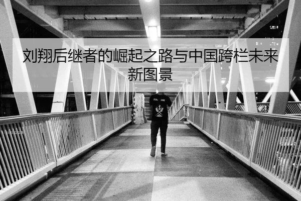刘翔后继者的崛起之路与中国跨栏未来新图景