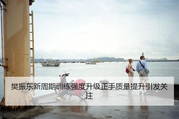 樊振东新周期训练强度升级正手质量提升引发关注