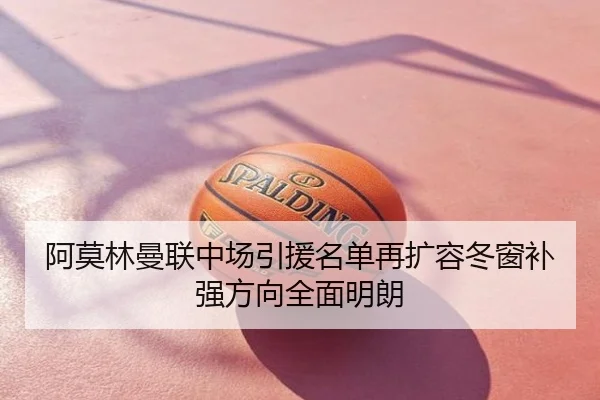 阿莫林曼联中场引援名单再扩容冬窗补强方向全面明朗